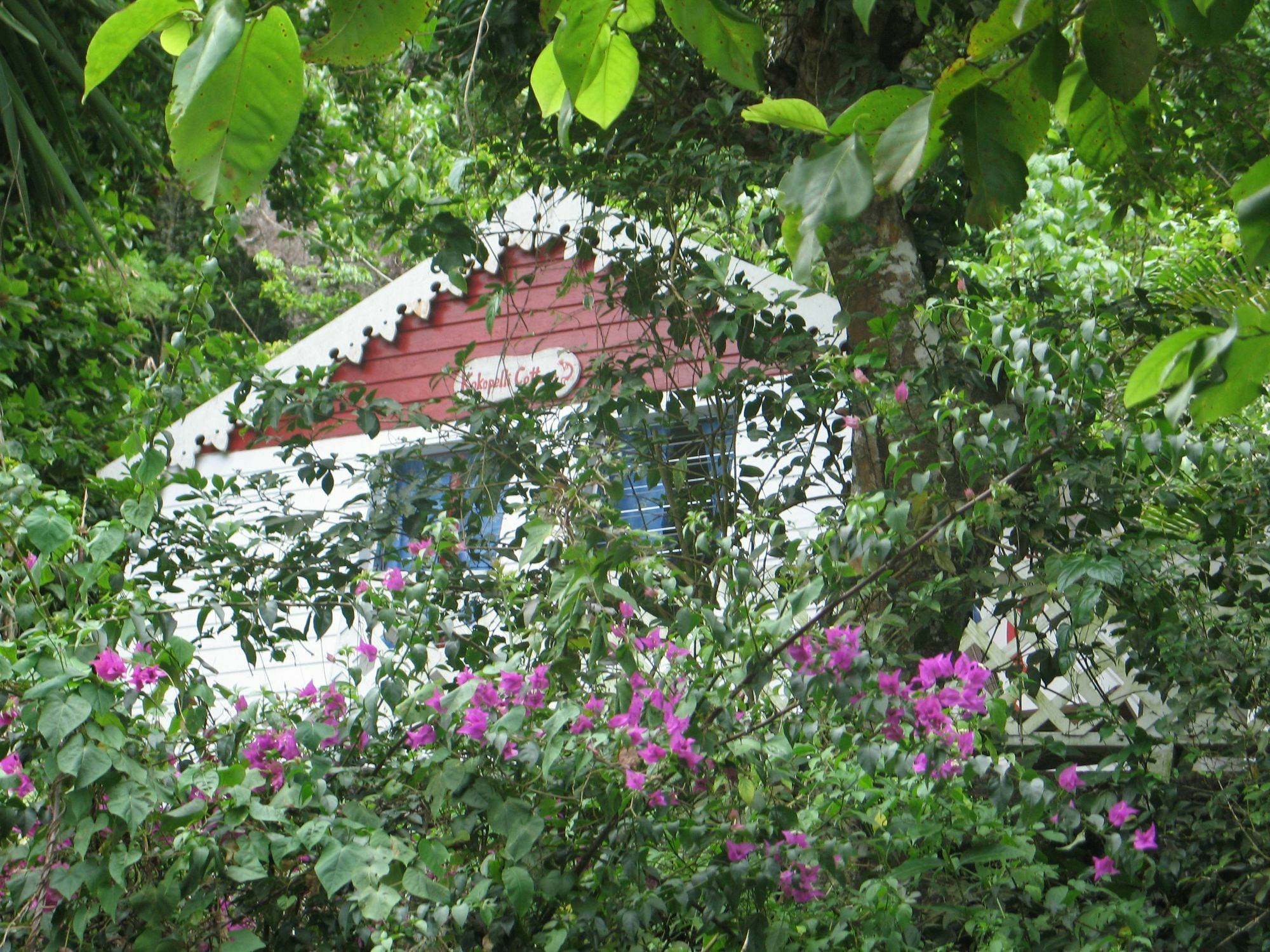 El Momo Cottages Windward Side Exterior foto